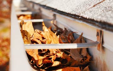Shernborne gutter cleaning companies